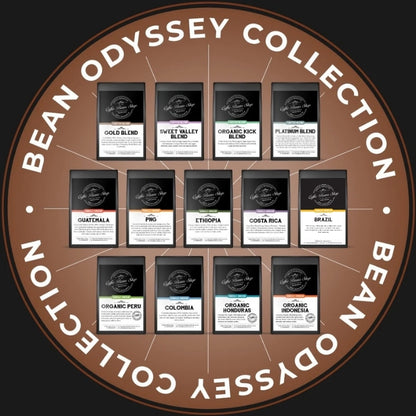 Bean Odyssey Collection 13 x 250g